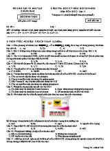 Đề kiểm tra học kỳ I môn Hóa học Lớp 11 - Mã đề 320 - Năm học 2019-2020 - Sở giáo dục và đào tạo Quảng Nam